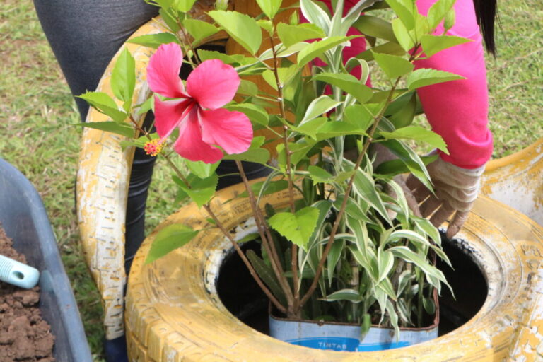 Jardinagem é ferramenta de ressocialização no presídio feminino de Rio Branco